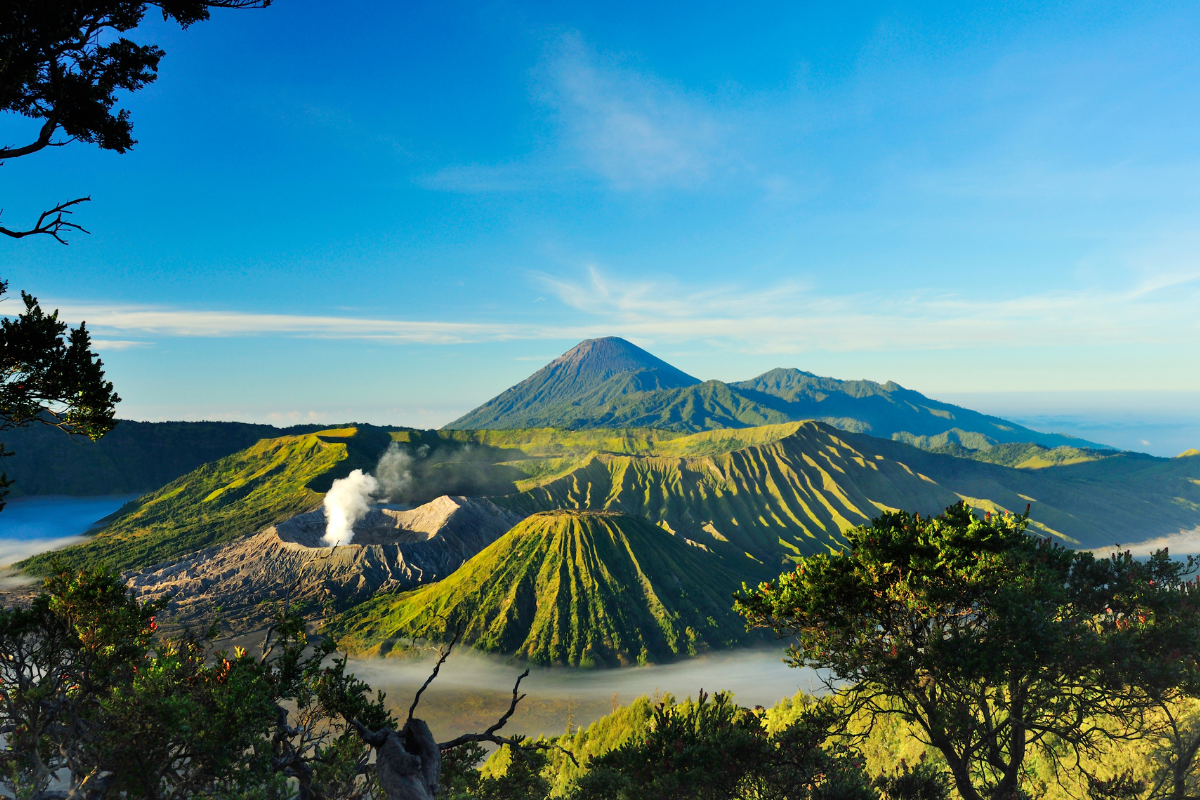 bromo1