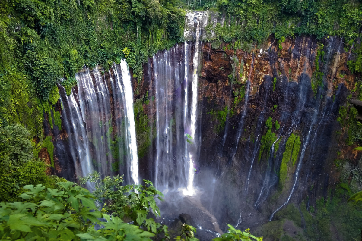 tumpaksewu2